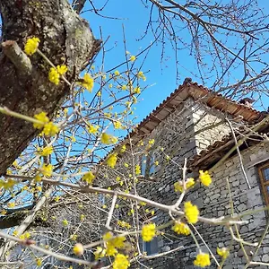 Bujtina Tusha Priska e Madhe