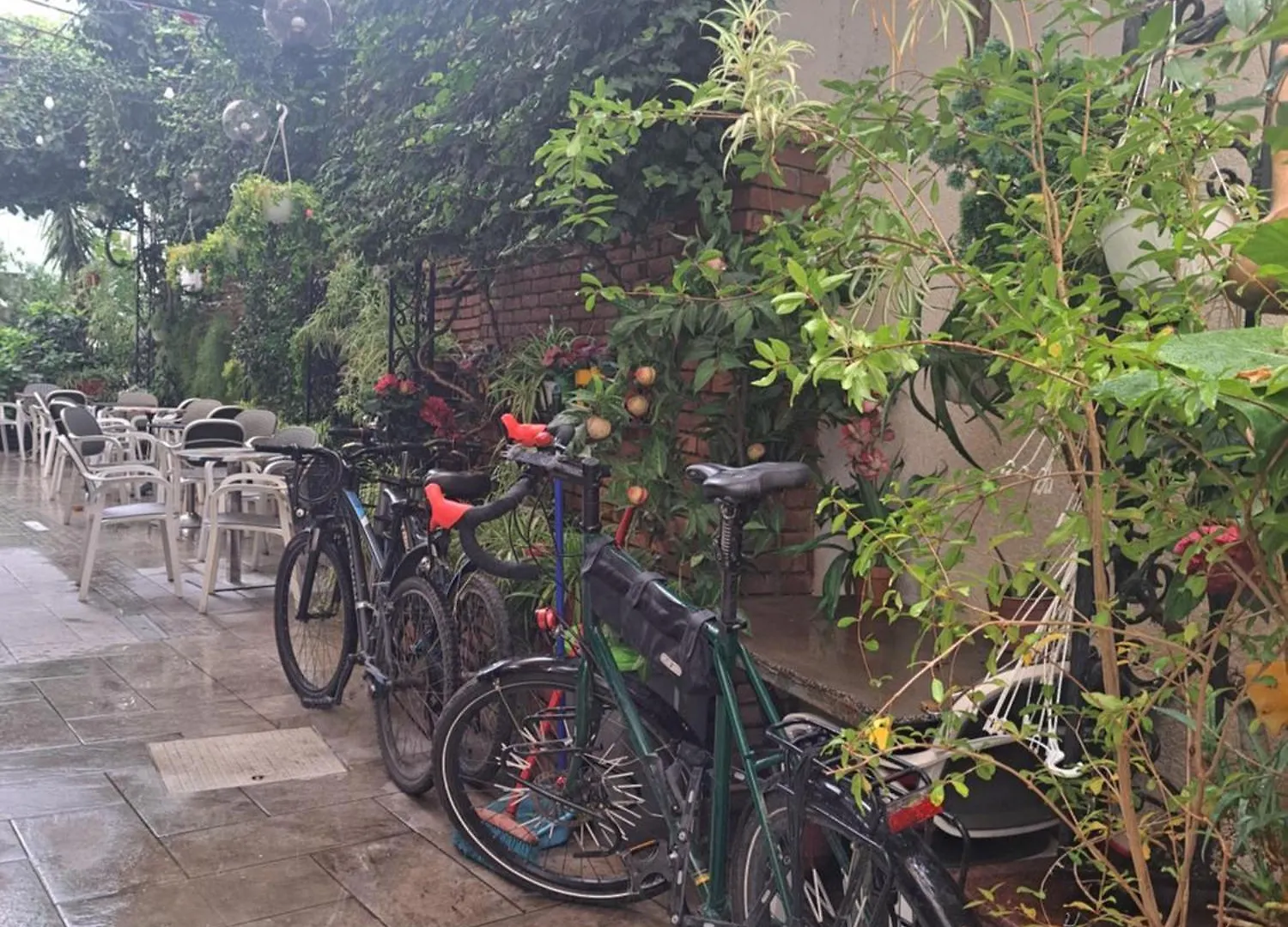 Morfeas Guest House Tirana 0*,  Albania
