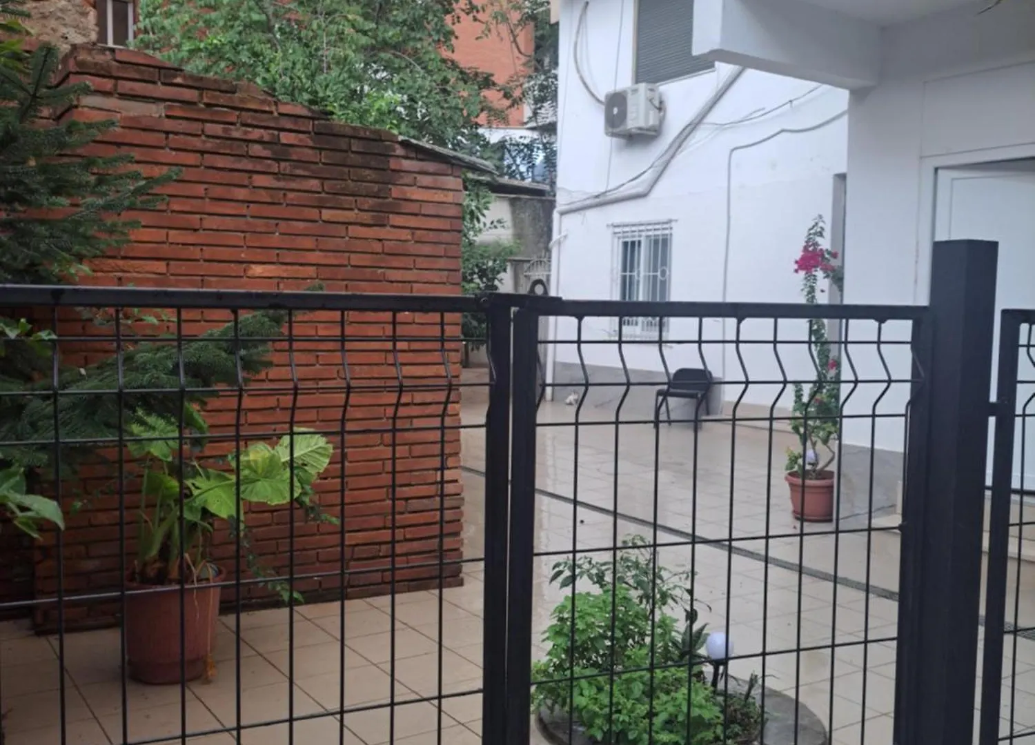 Morfeas Guest House Tirana 0*,